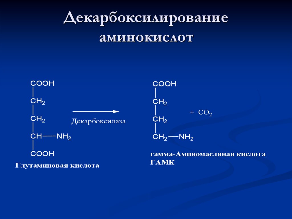 Декарбоксилирование аминокислот презентация