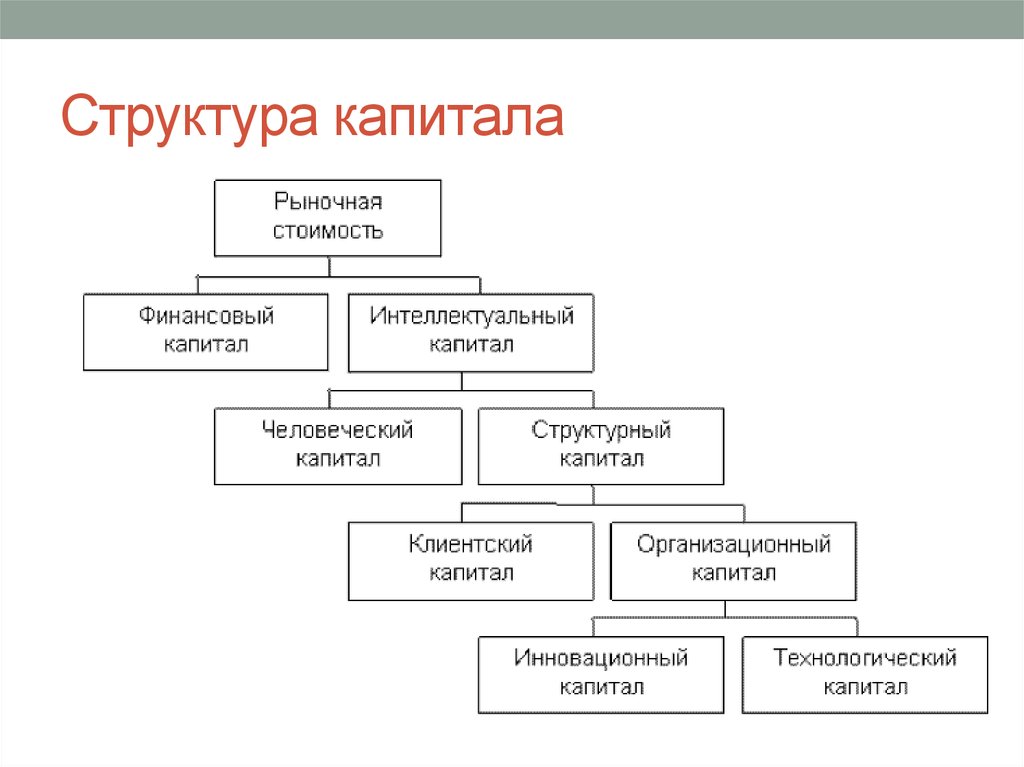 Виды капитала схема