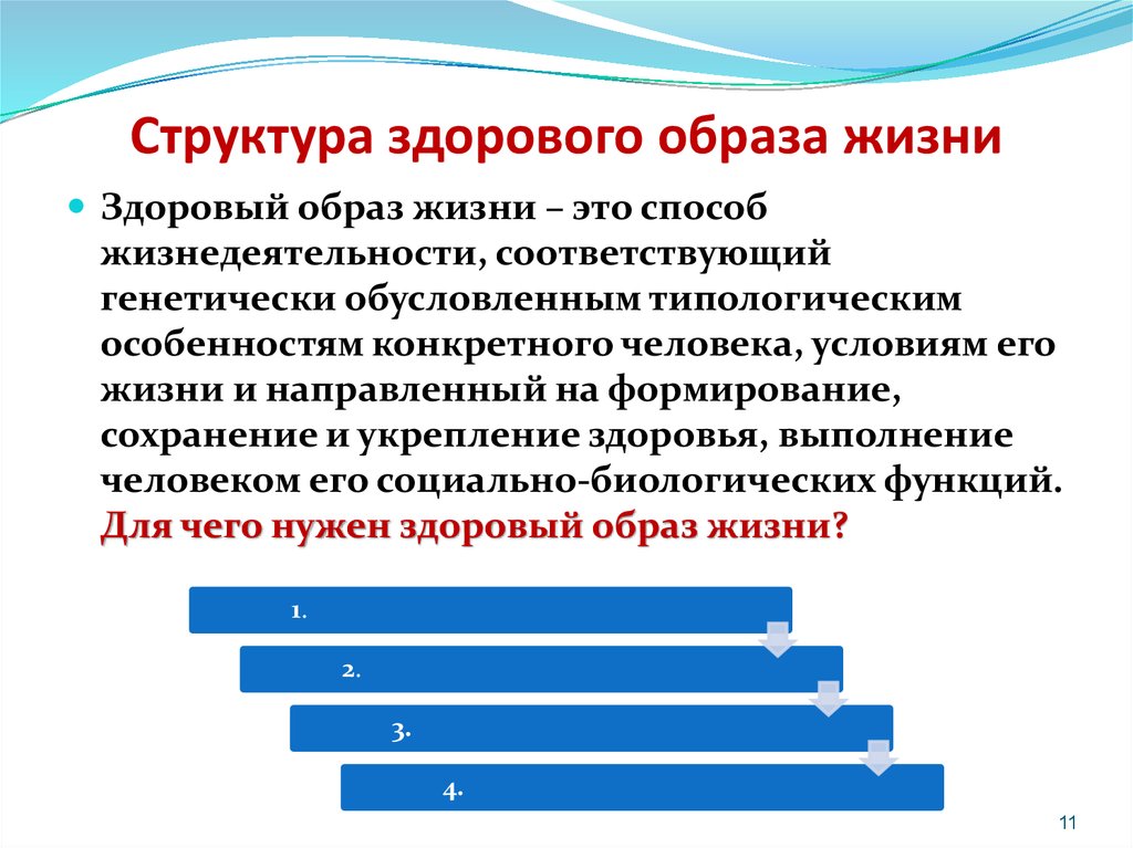 Жизненная структура. Образ жизни и здоровый образ жизни структура. Образ жизни структура образа жизни. Структура здорового образа жизни. Структура ЗОЖ.