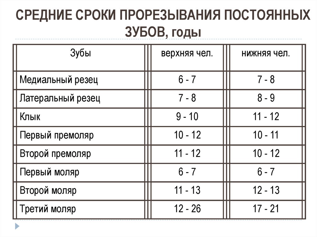 Сроки прорезывания. Сроки прорезывания постоянных зубов таблица. Сроки прорезывания зубов у детей таблица постоянные. Сроки прорезывания постоянных премоляров. Сроки прорезывания постоянных моляров.