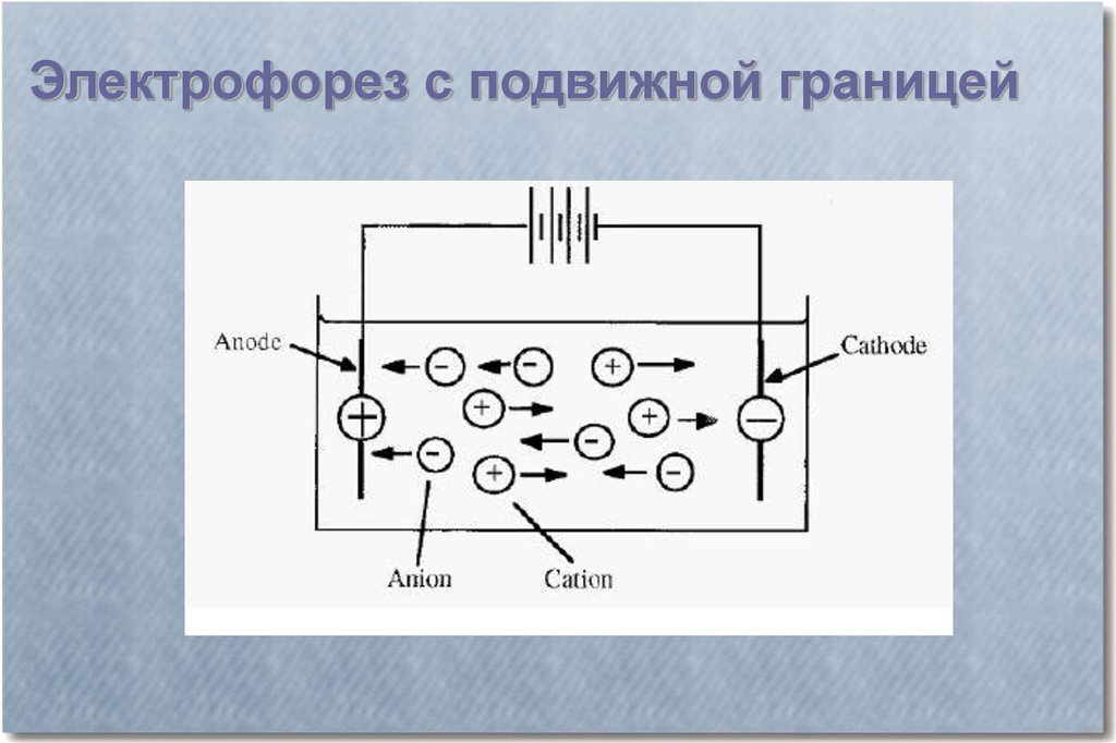 Электрофорез легко сойти с ума текст