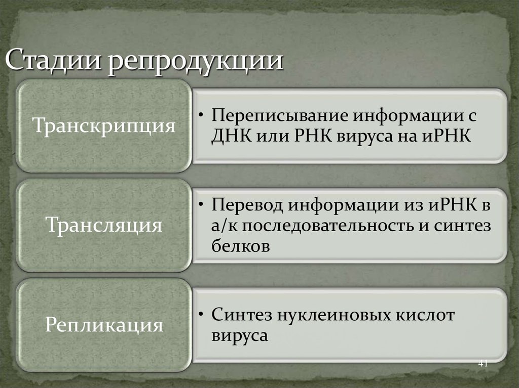 Стадии репродукции. Этапы репродукции человека презентация. Этапы репродукции. Основные этапы процесса репродукции.