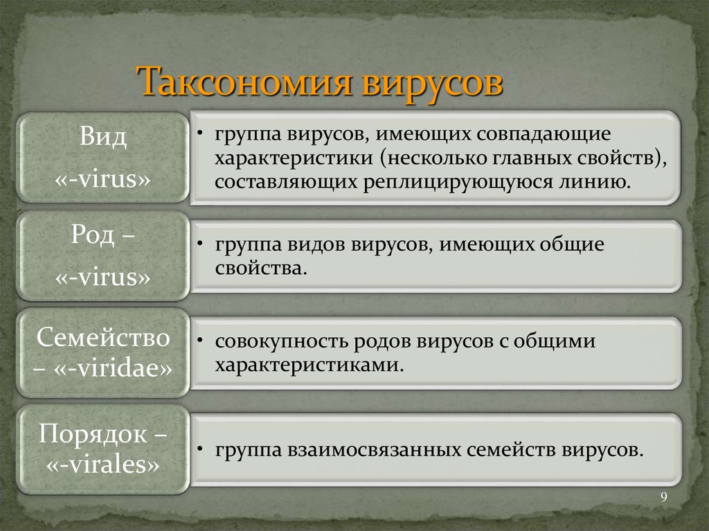 Принцип вируса. Назовите таксономические единицы вирусов.. Таксономия и классификация вирусов. Таксономическая классификация вирусов. Принципы классификации и таксономии вирусов.