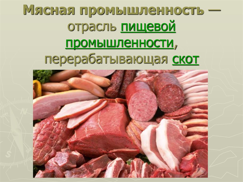 Класс мяса. Мясная промышленность. Мясная промышленность презентация. Отрасли мясной промышленности. Мясная отрасль пищевой промышленности.