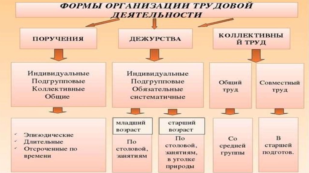 Трудовая деятельность проект