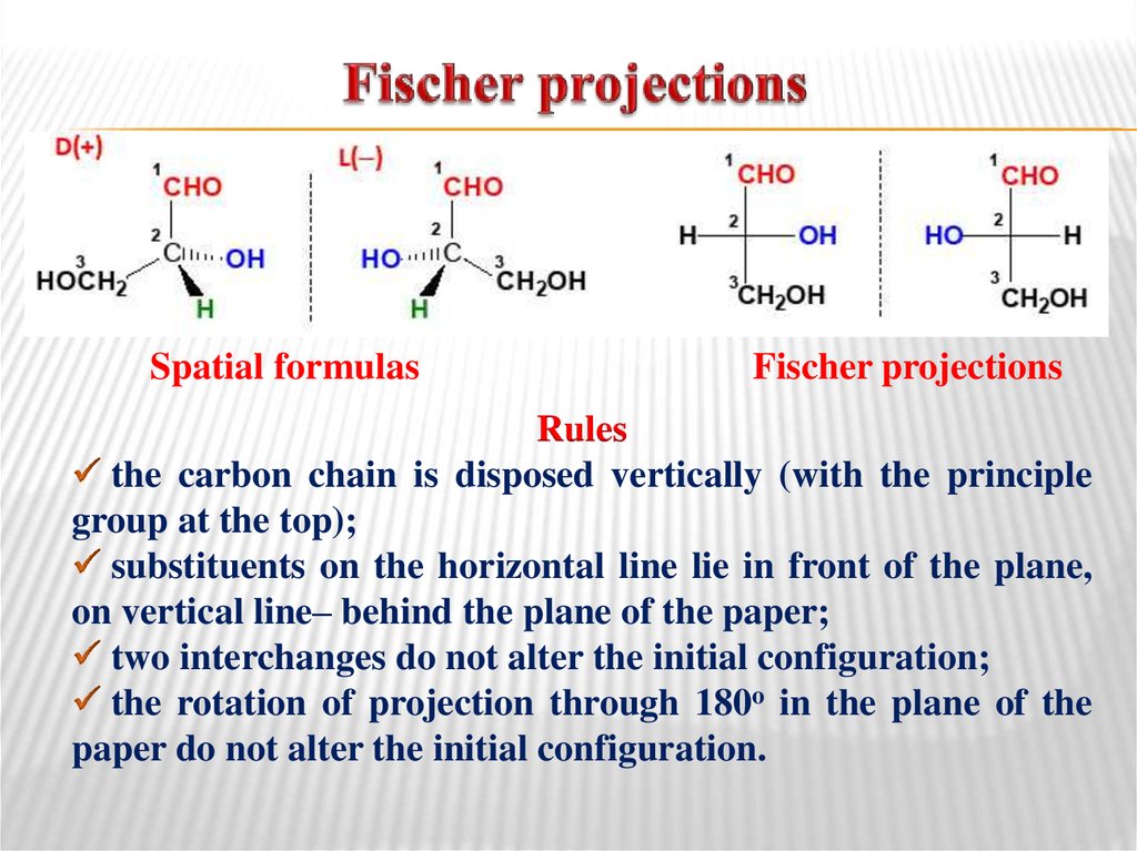 Fischer projections