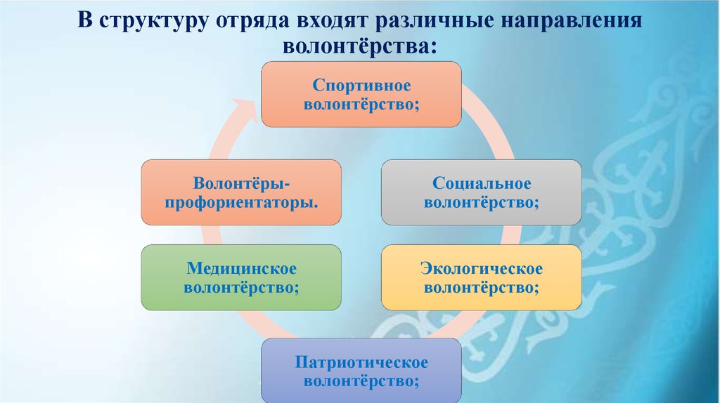 Направления волонтерства схема