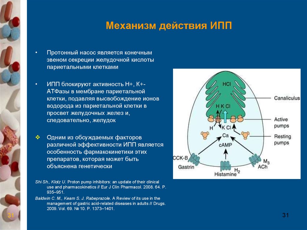 Ингибиторы протоновой помпы презентация