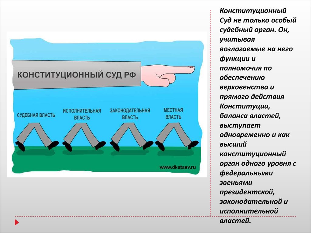 Презентация конституционное производство