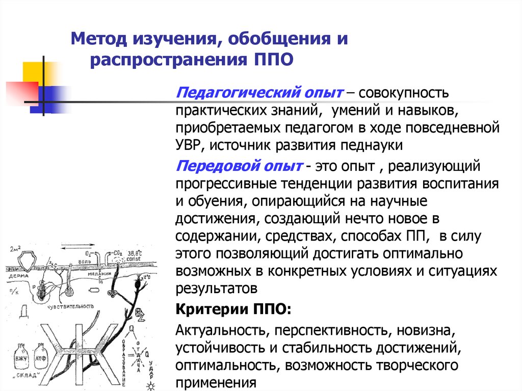 Метод изучения и обобщения опыта