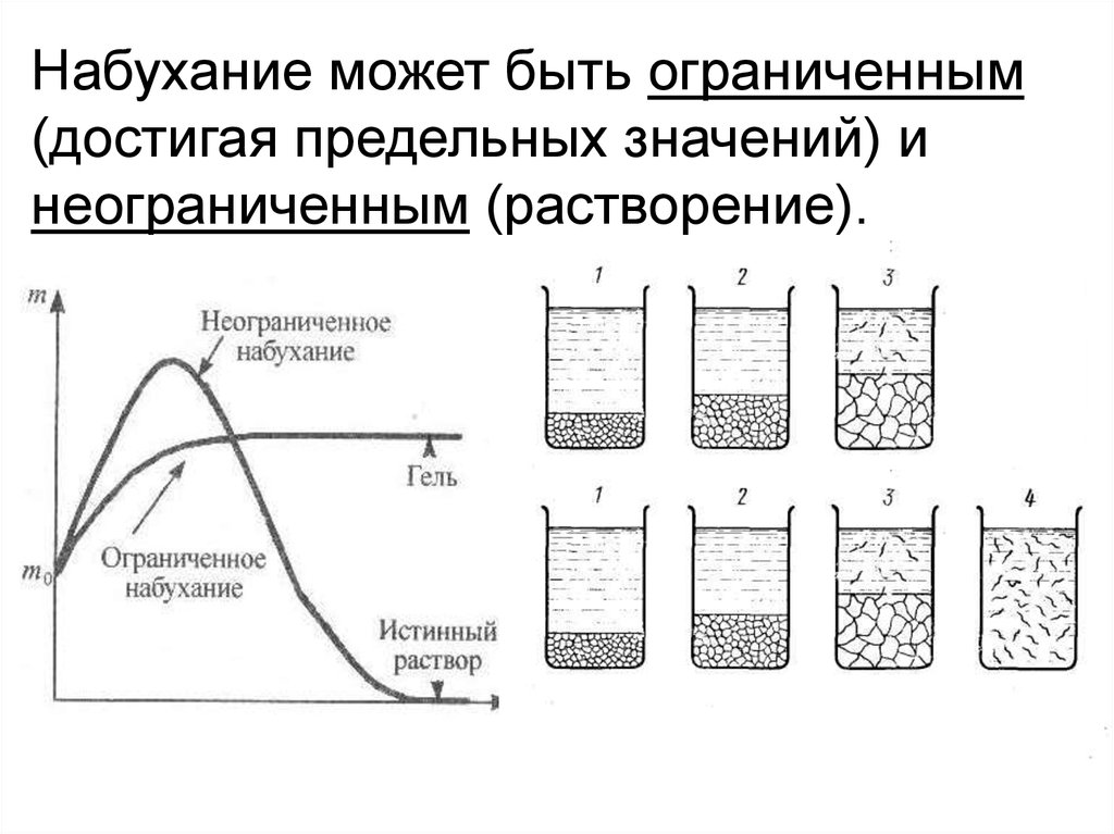 Первичный этап растворения твердого образца полимера называется иначе