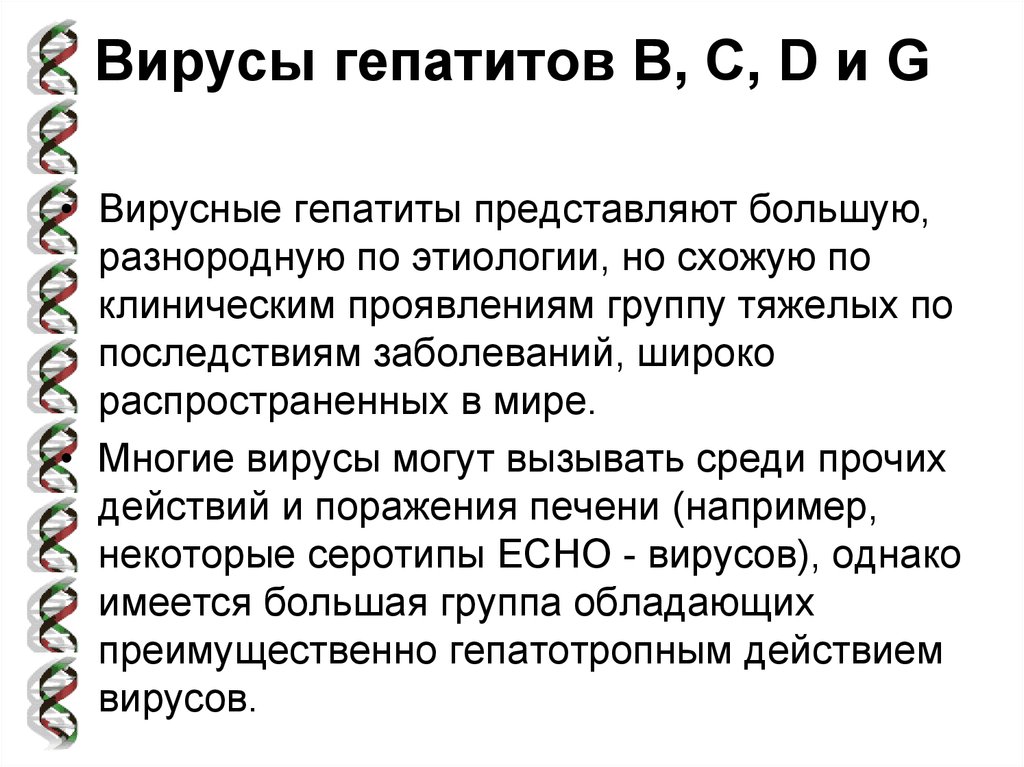 Вирусные гепатиты курсовая работа. Профилактика вирусного гепатита в.