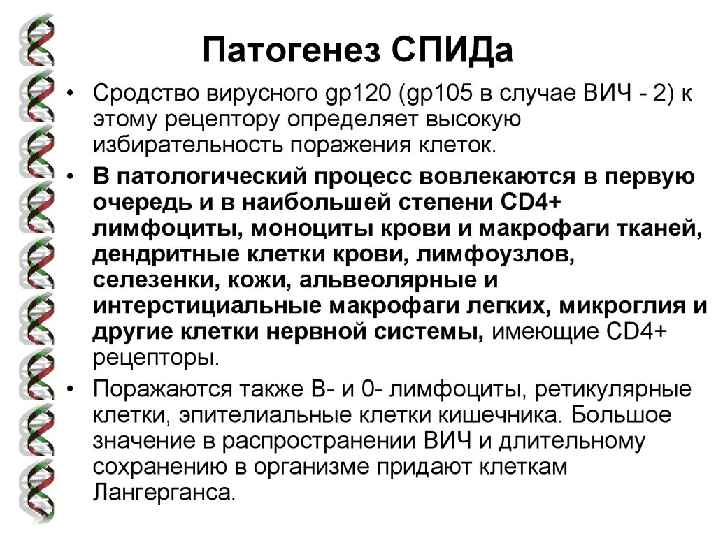 Вич относится к группе