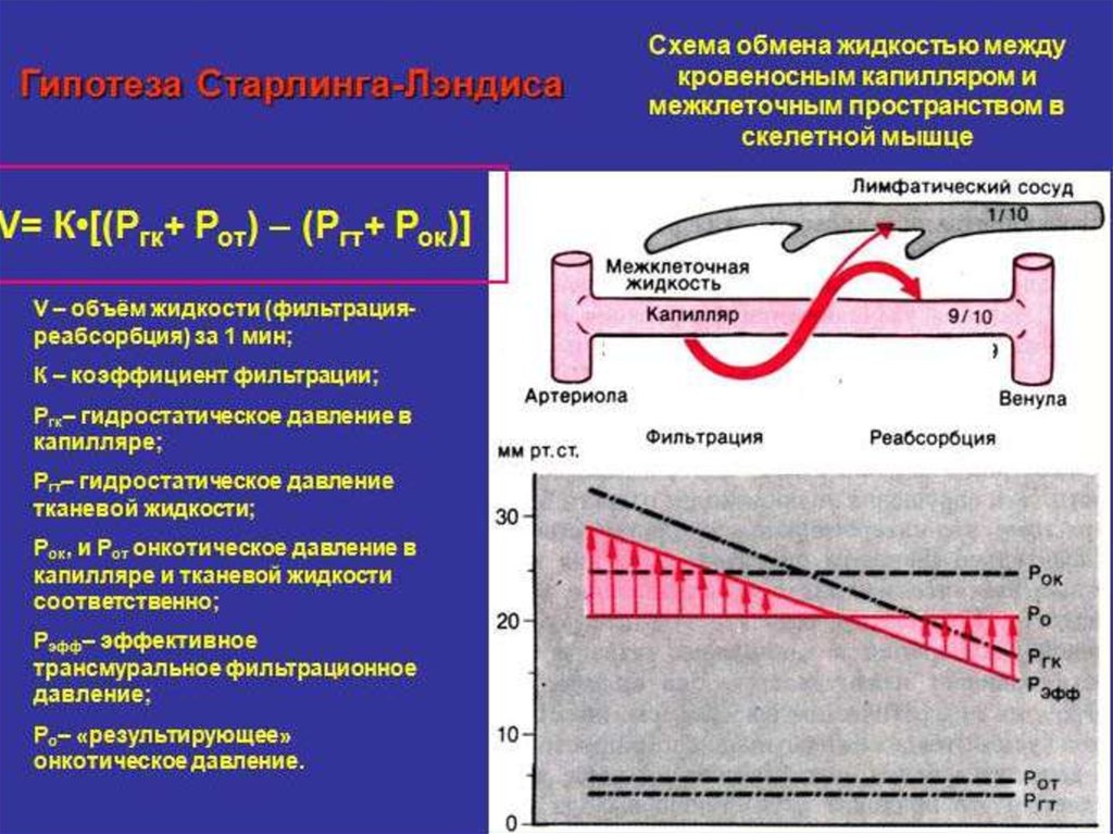 Жидкость в тканях. Процесс фильтрации и реабсорбции в капилляре. Механизмы транскапиллярного обмена в капиллярах. Механизм фильтрации и реабсорбции в капиллярах. Механизмы фильтрации и реабсорбции в капиллярах схема.