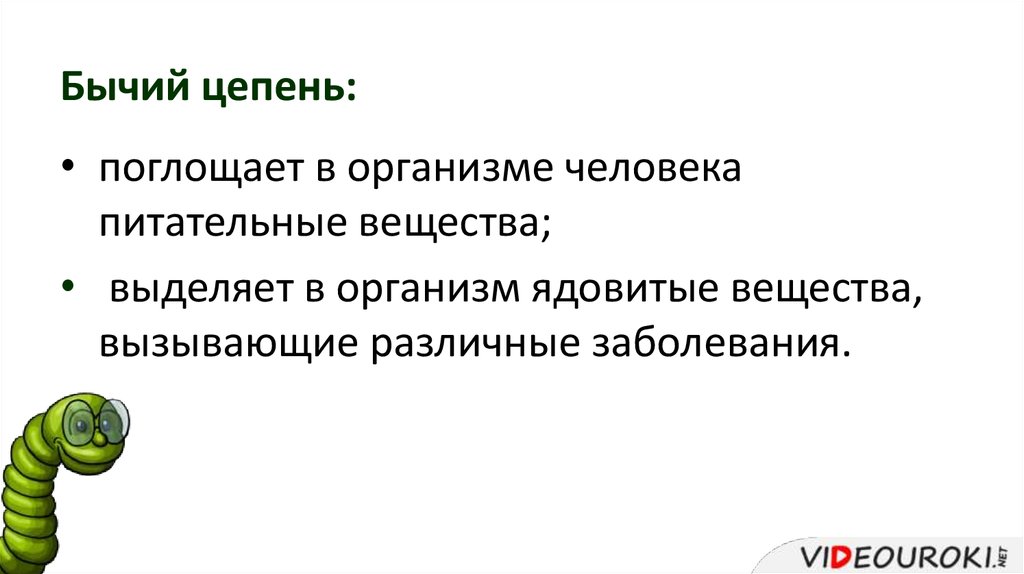 Какой вред может причинить бычий цепень. Меры профилактики заражения бычьим цепнем. Меры профилактики заражения бычьего цепня. Меры профилактики заражения человека бычьим цепнем. Бычий цепень меры профилактики.