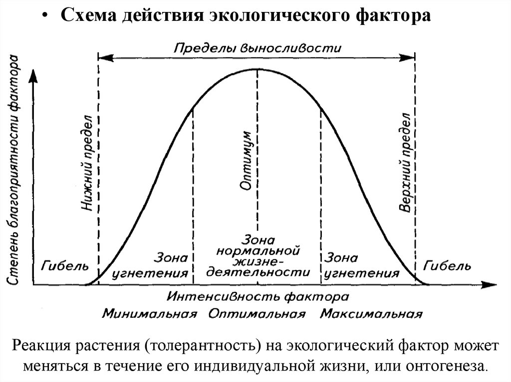 Экологические факторы схемы