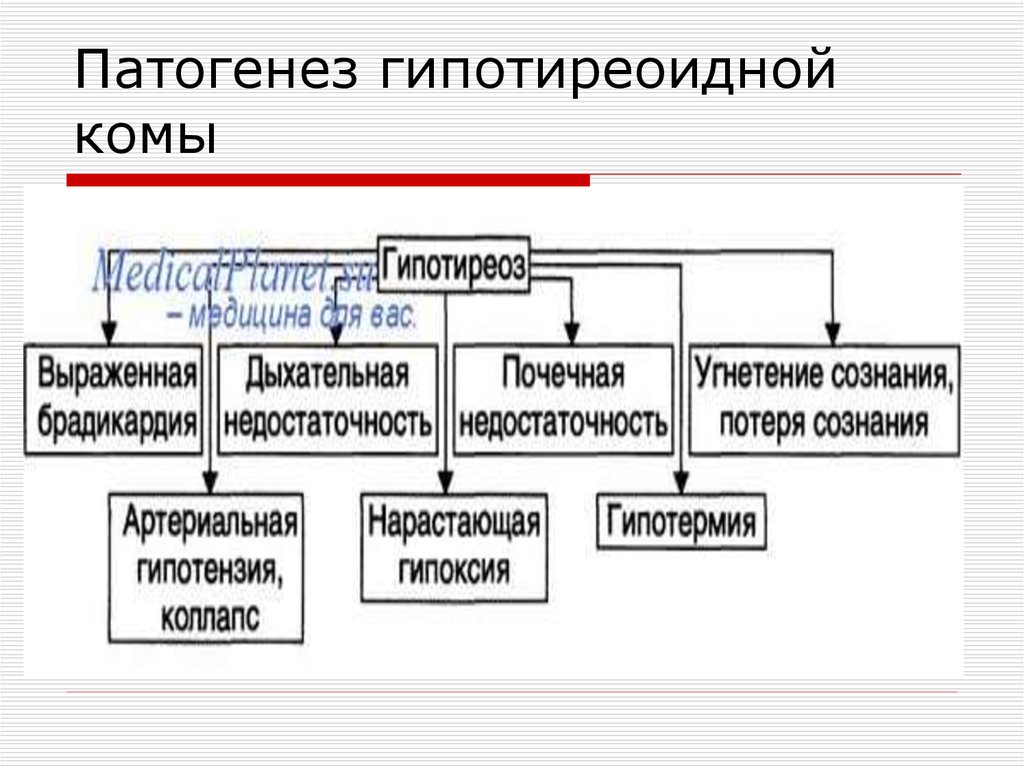 Гипотиреоз виды причины механизмы развития основных проявлений презентация