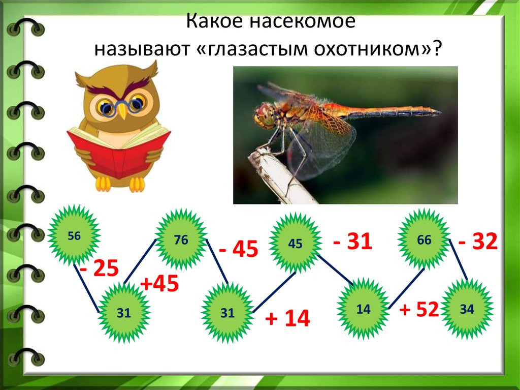 Наука о насекомых называется. Задачи для глазастых. Какого насекомого в народе прозвали глазастым охотником. Тест какое ты насекомое. У какого насекомого кратковременные память.