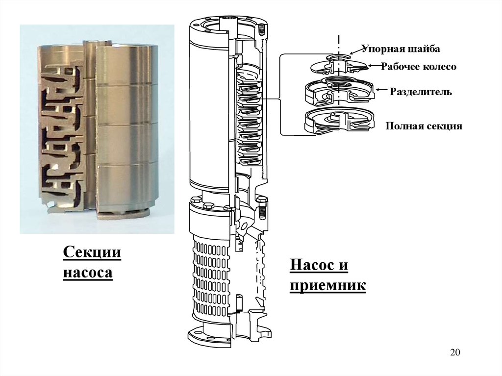 Электроцентробежный насос презентация