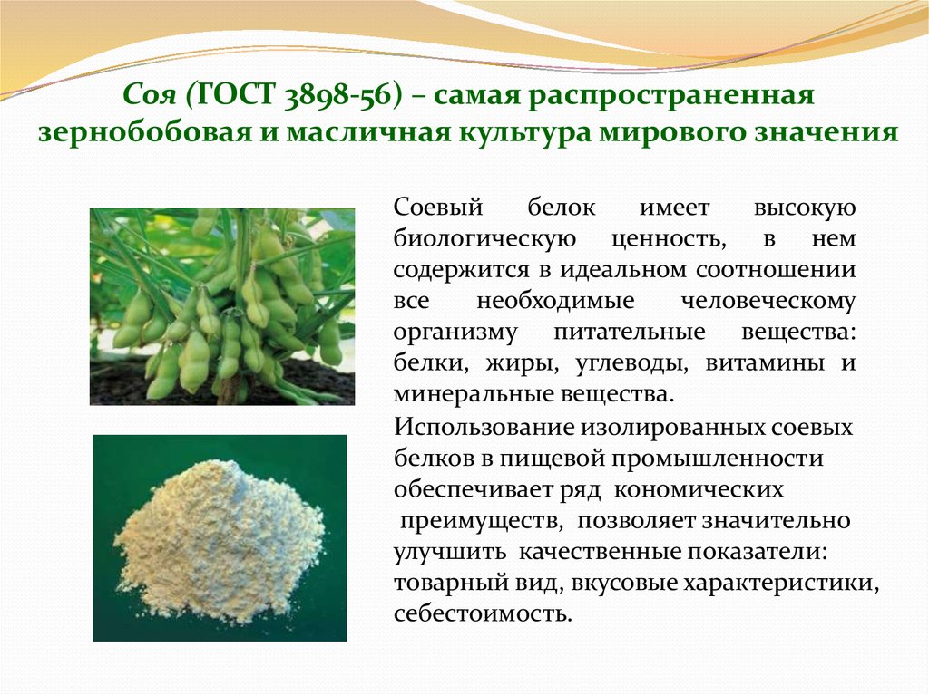 Соя это зерновая культура или овощная