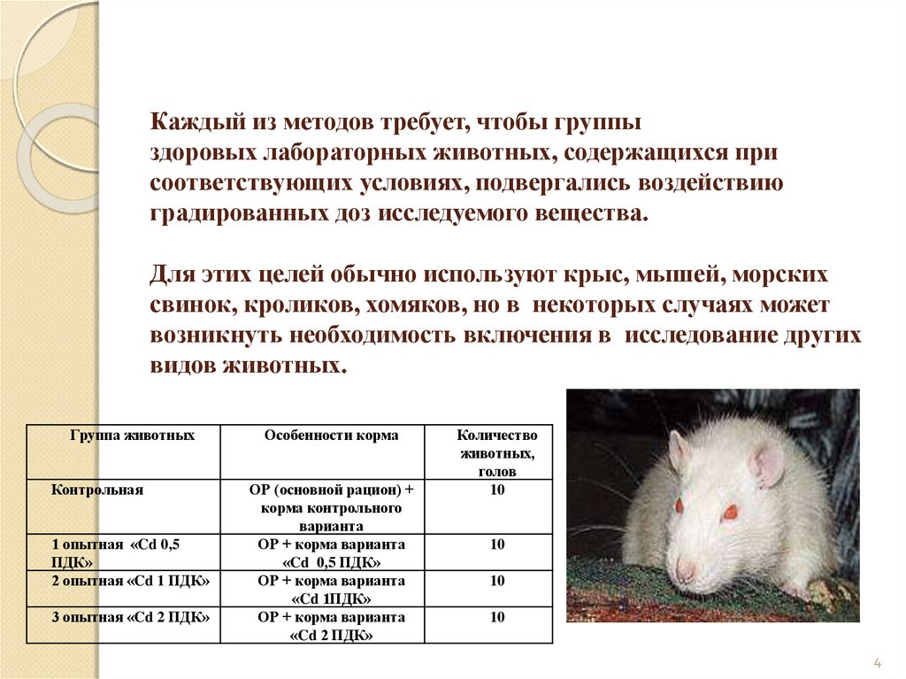 Экспериментатор ввел дозу адреналина лабораторной мыши