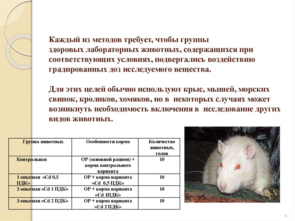 Корма для лабораторных животных