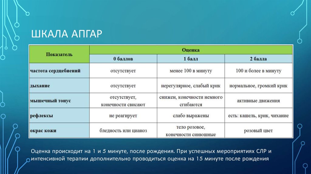 Шкала апгар определяет