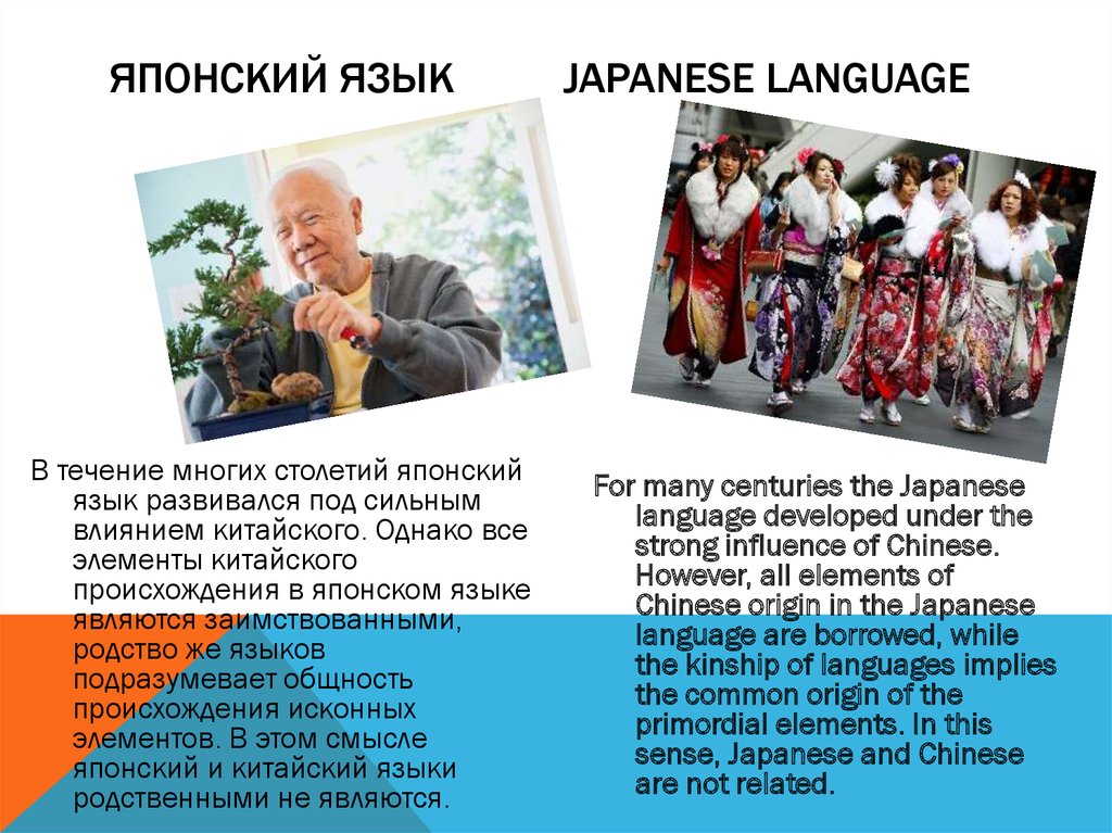 Культура народа по выбору. Язык культура народа. Язык и культура презентация. Язык и культура в современном мире. Япония языки и национальности.