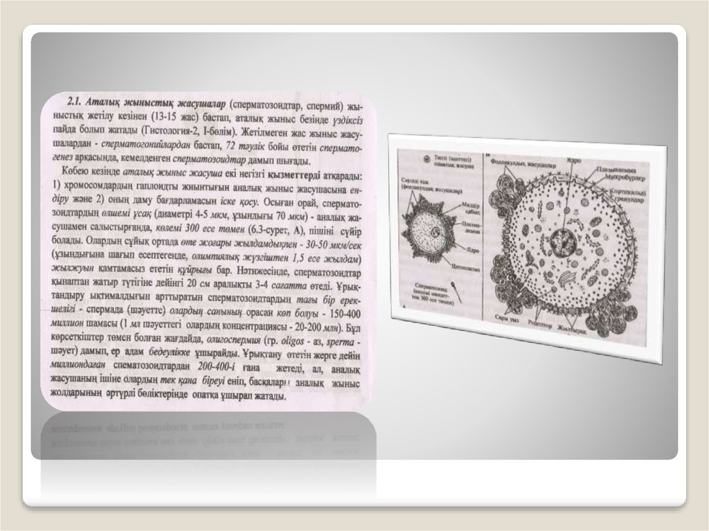 GTA SA-да қалай жыныстық қатынасқа түсуге болады