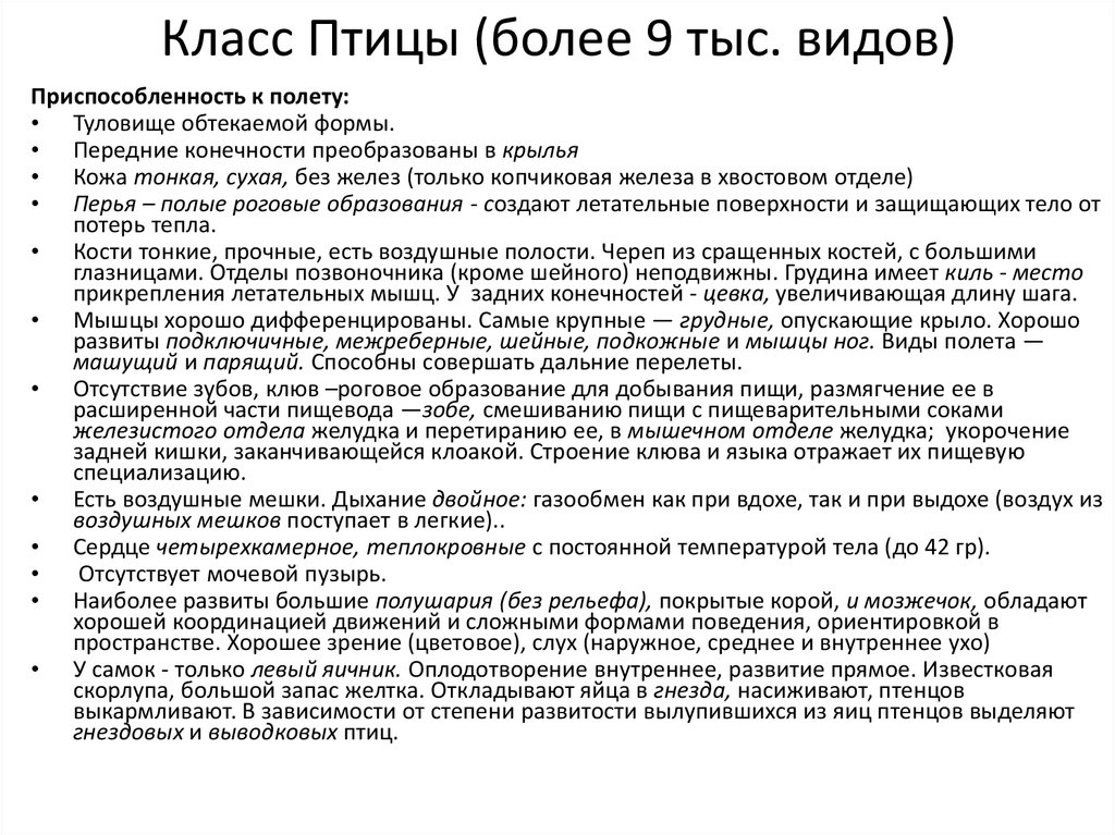 Презентация класс птицы общая характеристика 7 класс презентация