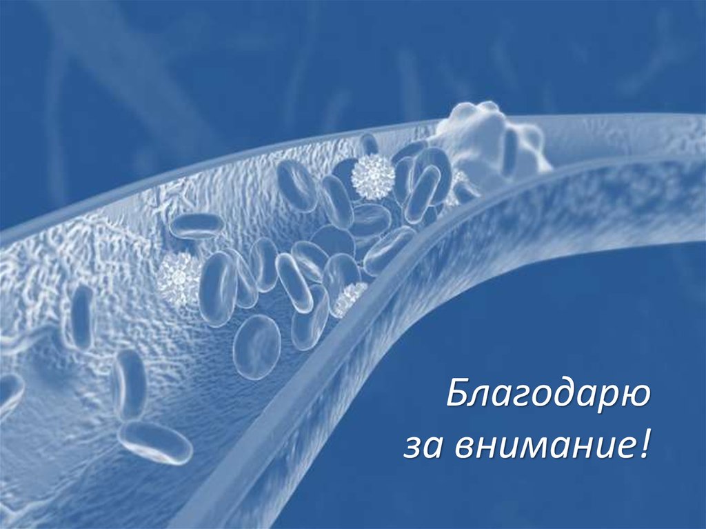 Благодарю за внимание!