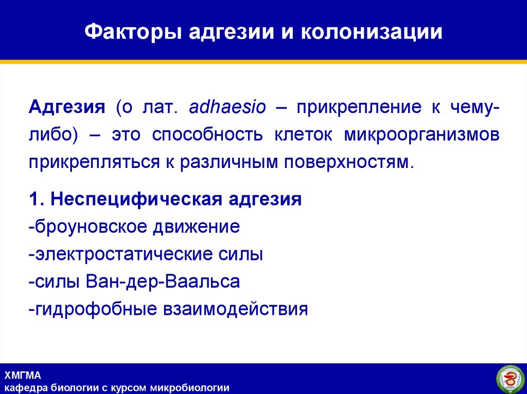 Фактор м. Факторы адгезии и колонизации. Факторы адгезии и колонизации механизм. Факторы адгезии и их роль. Факторы колонизации бактерий.