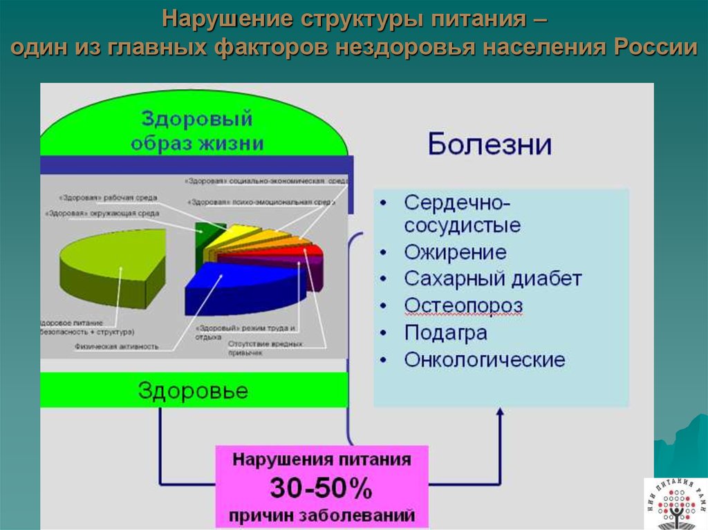 Структура питания