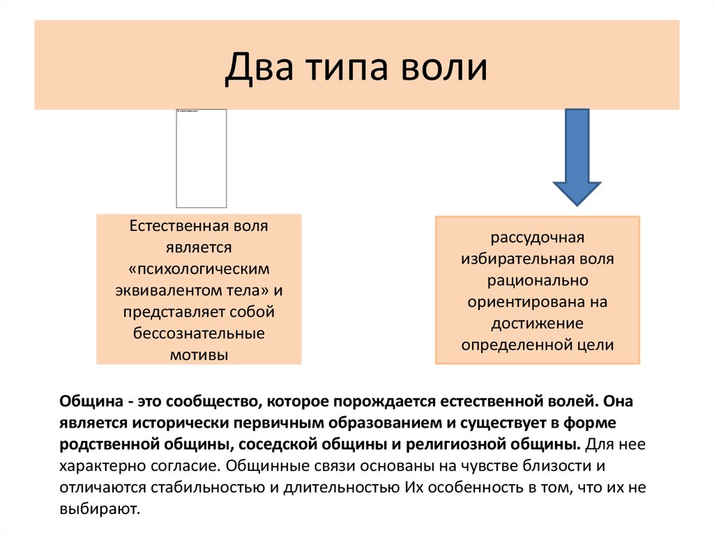 Какие два типа. Типы воли. Виды воли в психологии. Виды воли в психологии кратко. Воля основные виды.