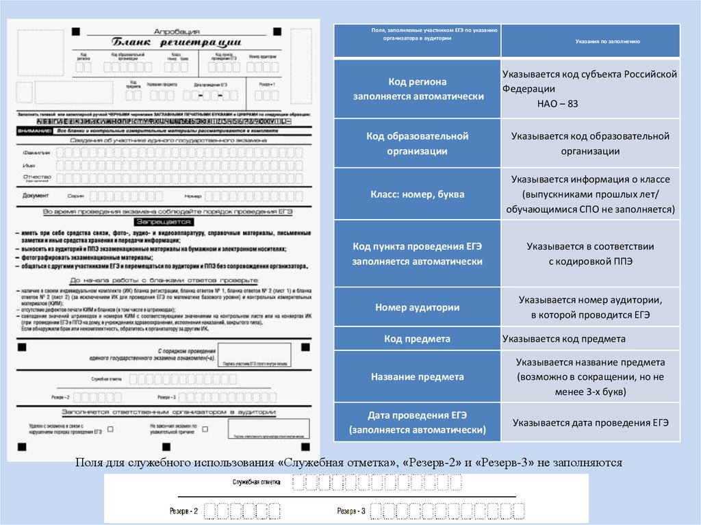 download основы биотехнологии