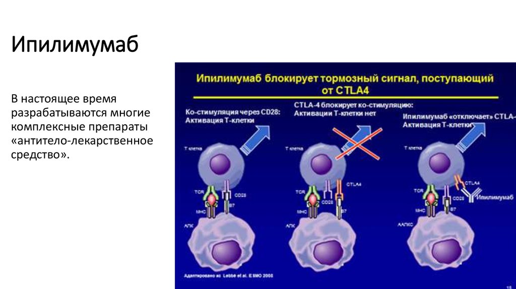 Таргетная терапия при меланоме