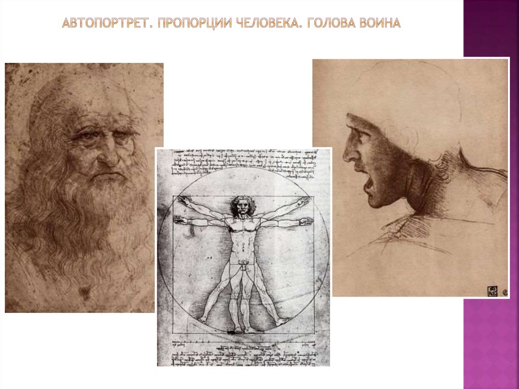 Автопортрет. Пропорции человека. Голова воина