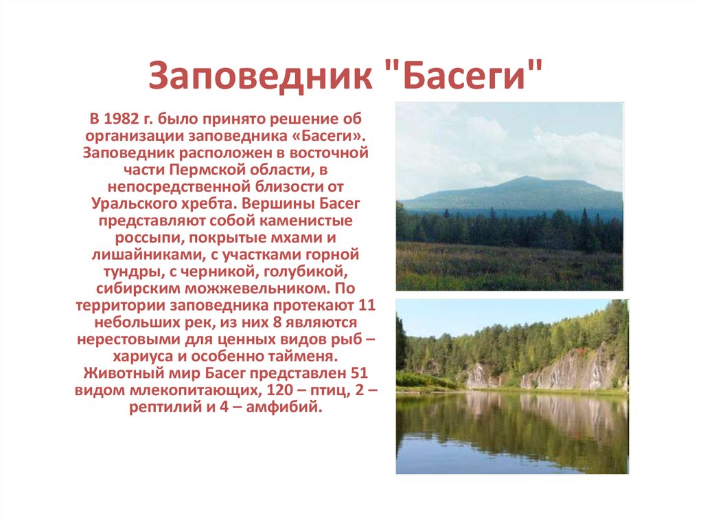 Заповедники пермского края презентация 4 класс