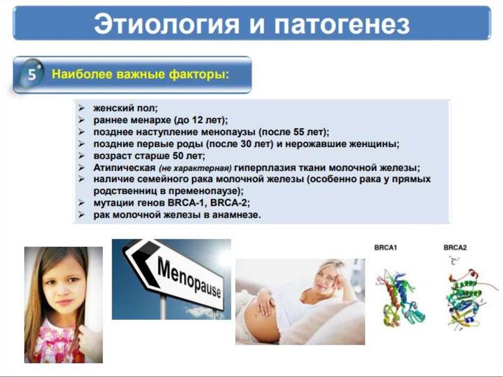 Рак молочной железы - online presentation