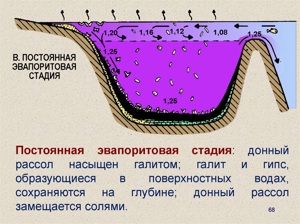 Глубина сохранить. Эвапоритовые бассейны. Эвапоритовые отложения. Эвапоритовые толщи. Эвапоритовые породы.