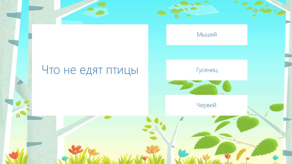 Что не едят птицы