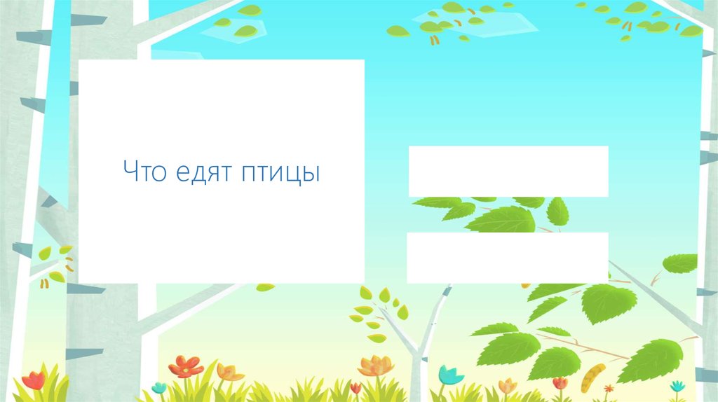 Что едят птицы