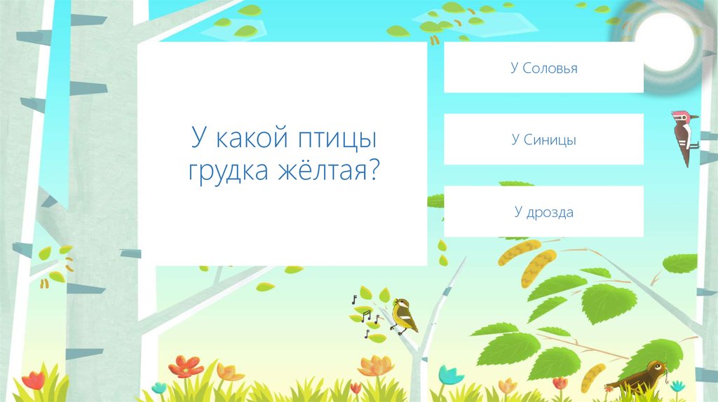 У какой птицы грудка жёлтая?