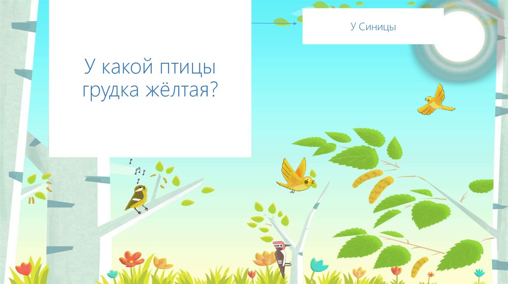 У какой птицы грудка жёлтая?