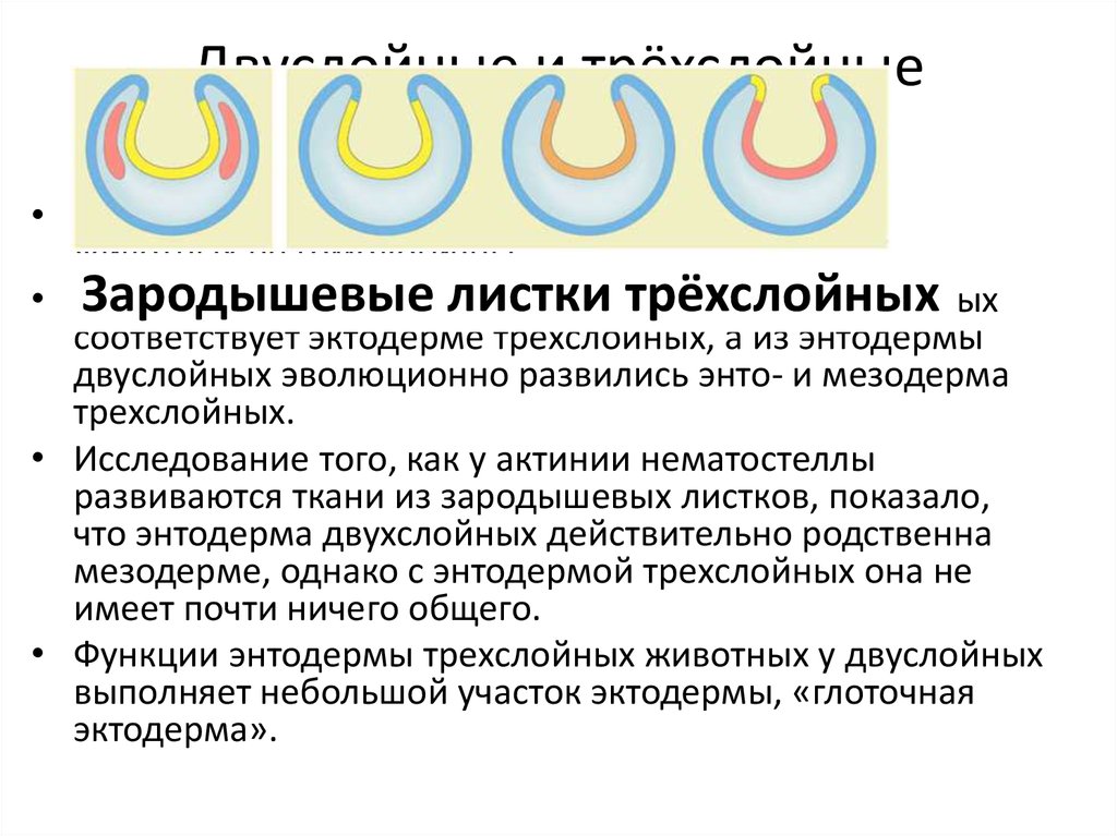 Составьте план для сравнительной характеристики шурика и сергея что у них общего и чем различаются