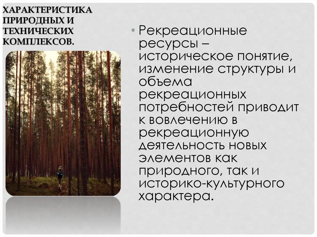 Природный лес относят к. Характеристика природного комплекса. Свойства природных комплексов. К рекреационным лесам относятся:. Рекреационное значение лесов.