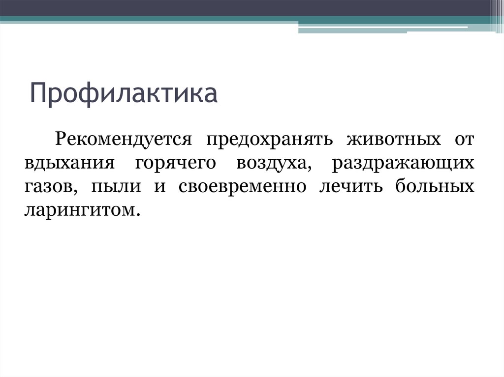 Профилактика