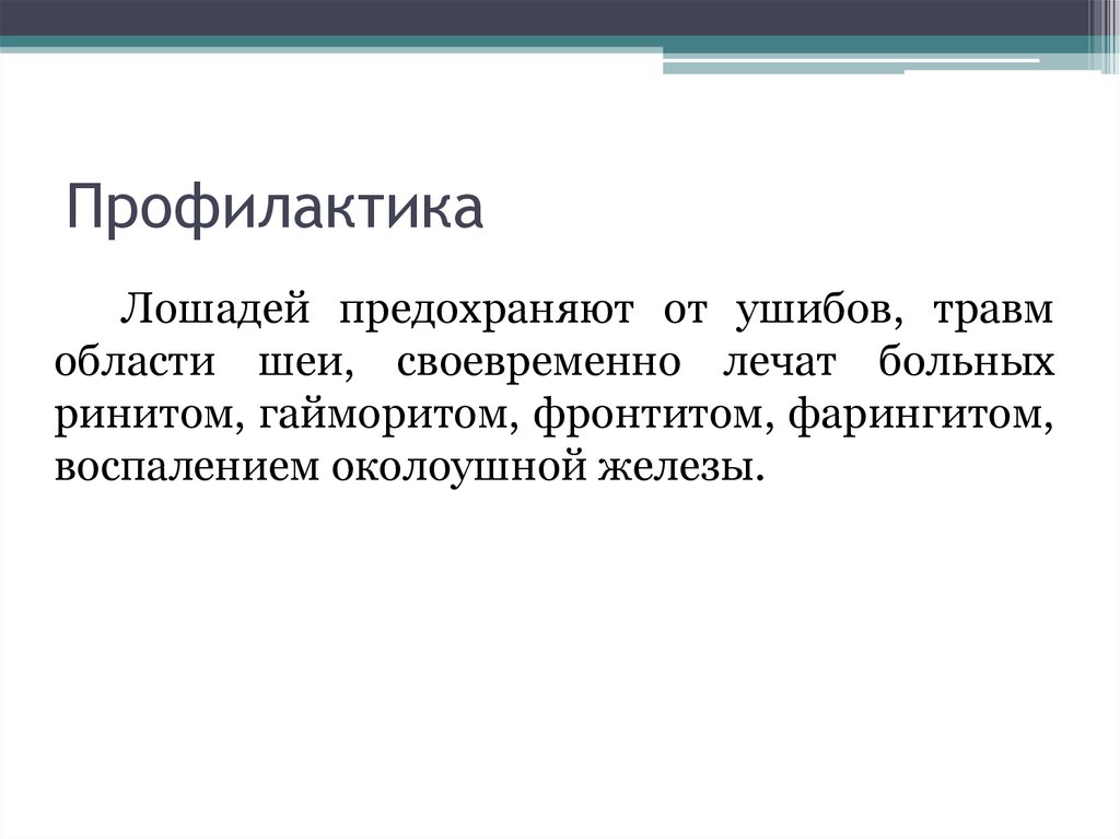 Профилактика