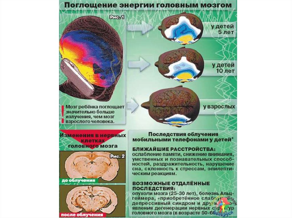 Поглощать. Поглощение энергии. Поглощение энергии головным мозгом. Излучение и поглощение энергии. Влияние окружающей среды на мозг.