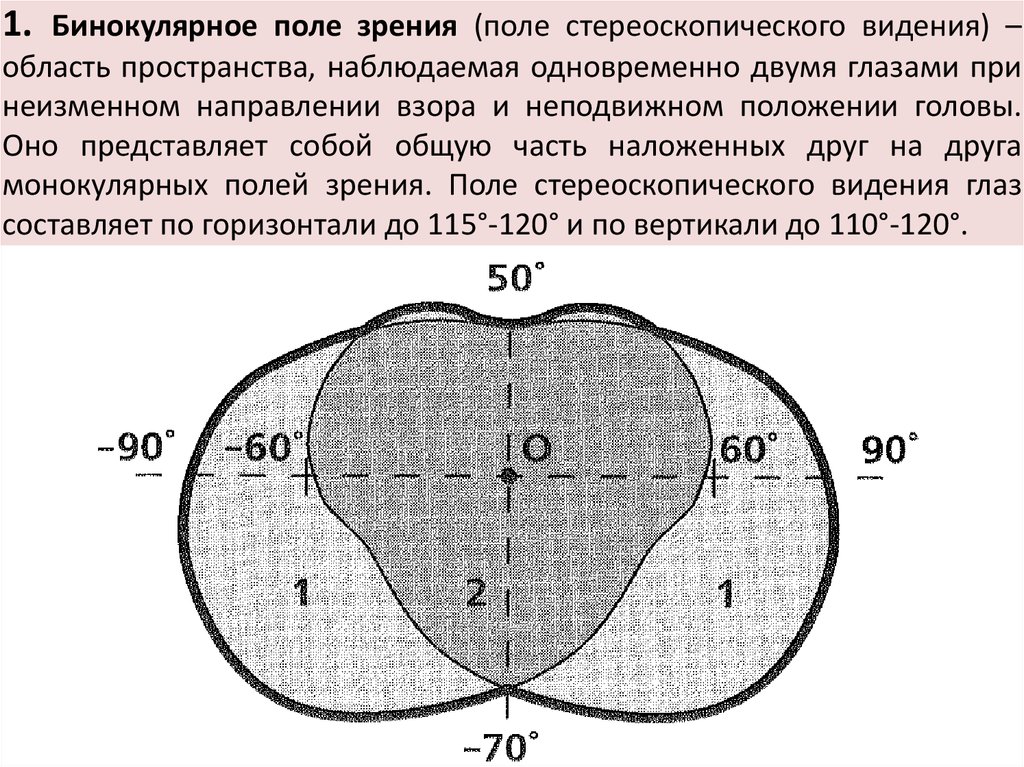 Поле зрения 3. Бинокулярное поле зрения. Поле зрения человека при бинокулярном видении. Поле зрения двумя глазами. Схема бинокулярного поля зрения.